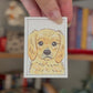 Mini Pet Portrait New Style