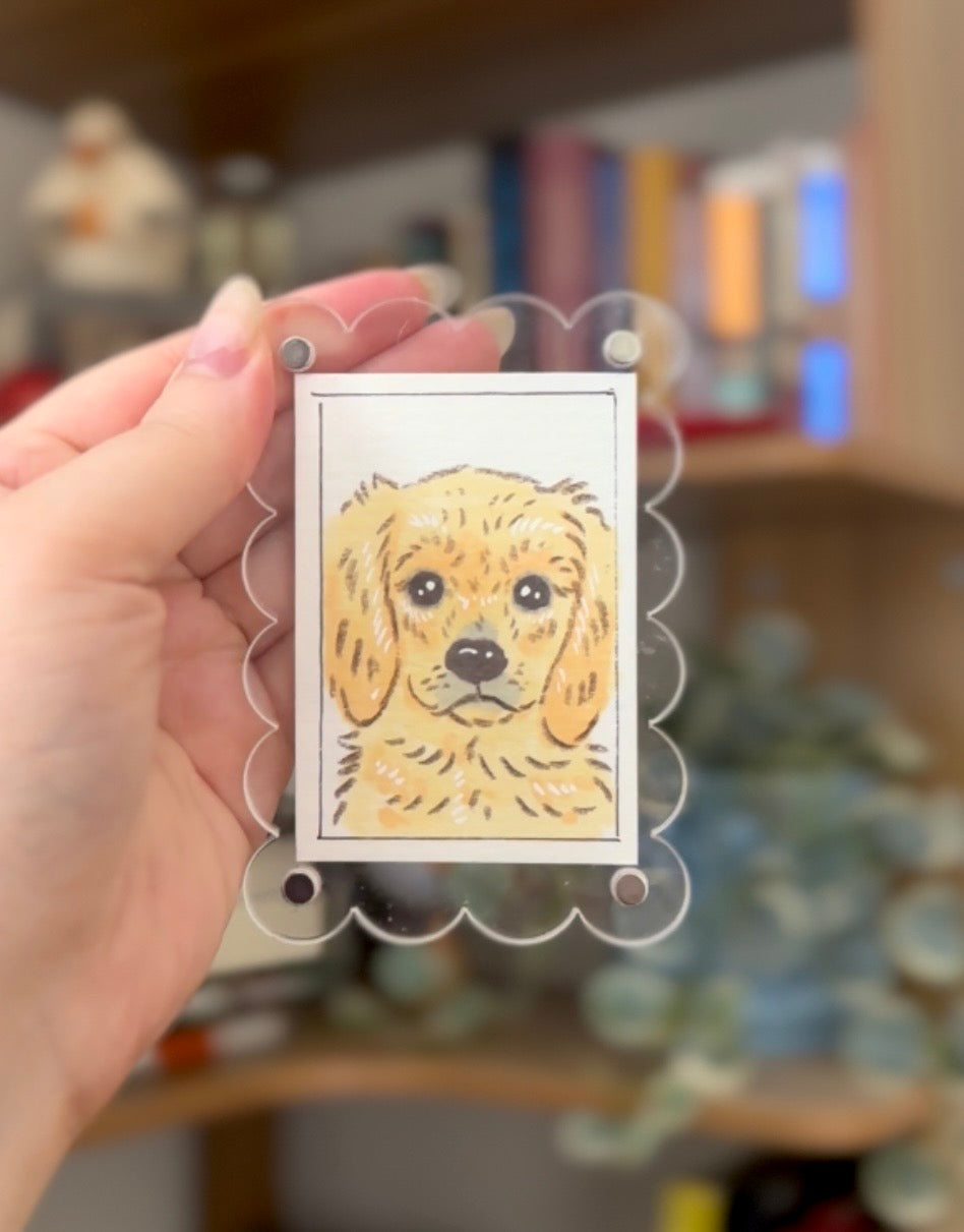 Mini Pet Portrait New Style