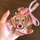 Custom Hand Painted Pet Portrait Acrylic Ornament